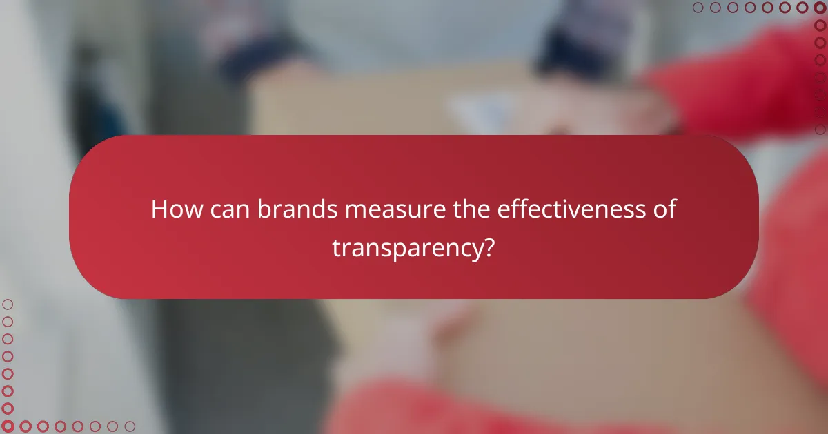 How can brands measure the effectiveness of transparency?