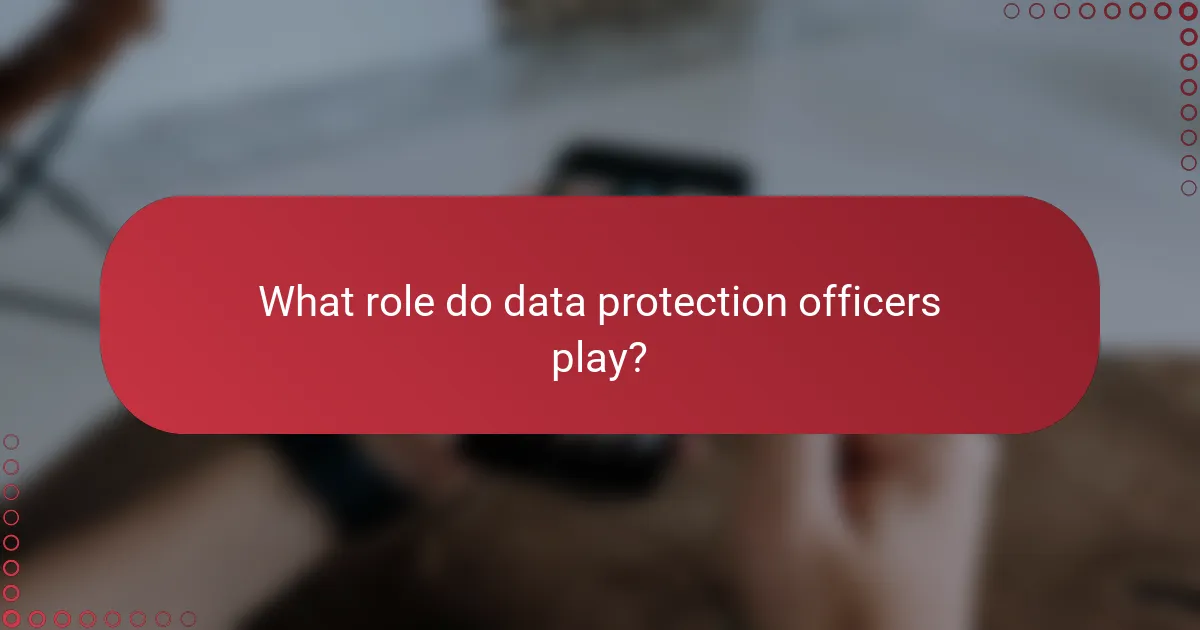 What role do data protection officers play?